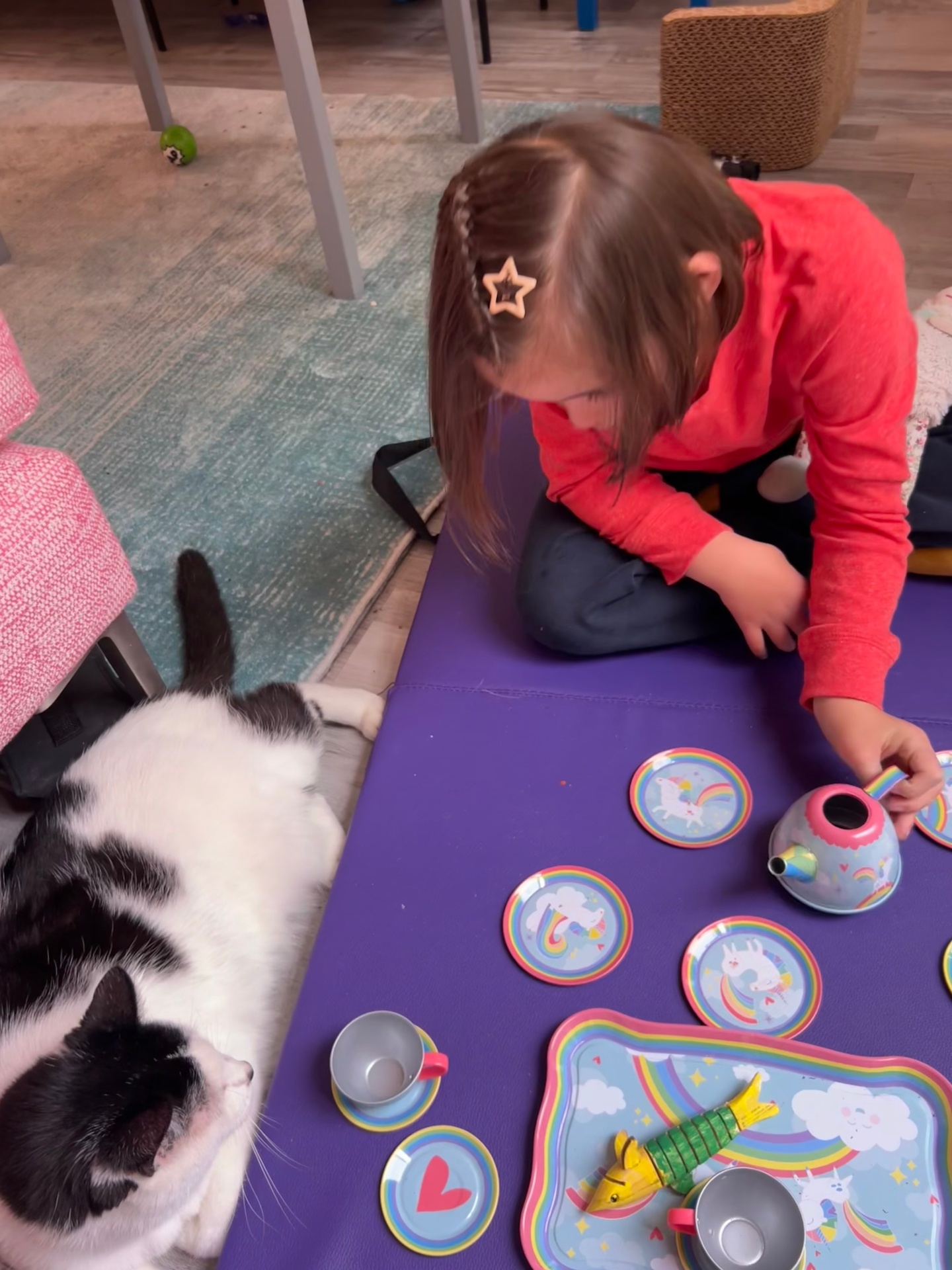 Pediatric OT session with a child playing a unicorn tea party